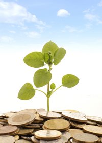A plant grows from a bunch of coins